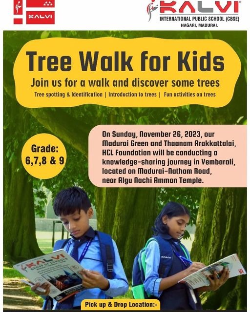 Tree Walk for Kids